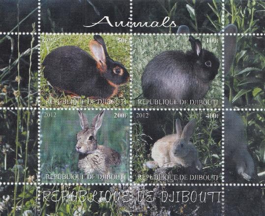 Фауна. Республика Джибути 2012 год. Зайцы.