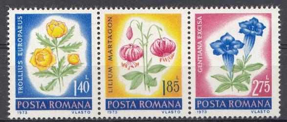 Флора. Цветы. Румыния 1973 год. Сцепка.