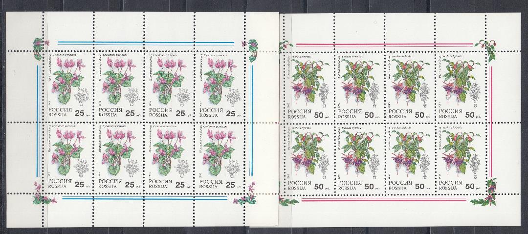  МЛ 79-80. Россия 1993 год. Комнатные растения. Цикламен персидский. Фуксия гибридная.