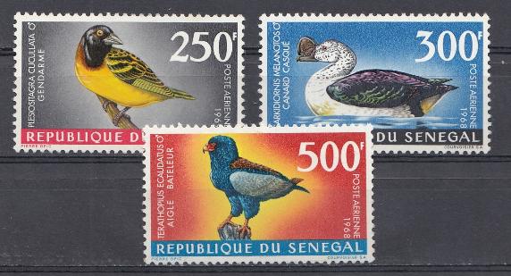 Птицы. Синегал 1968 год.