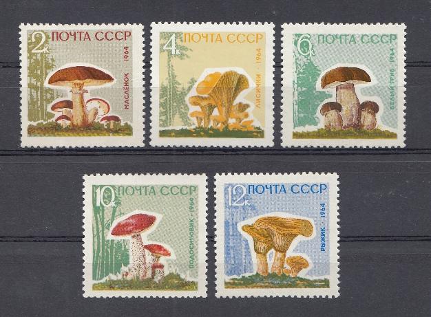 3036А- 3040А  С лакированным покрытием СССР 1964 год. Грибы.