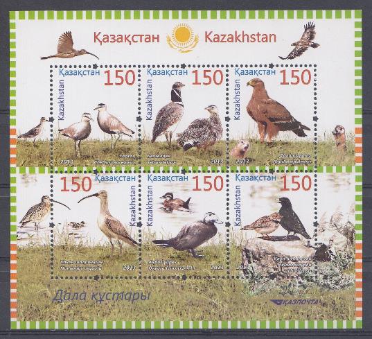 Птицы. Казахстан 2013 год. Хищные и озёрные птицы.