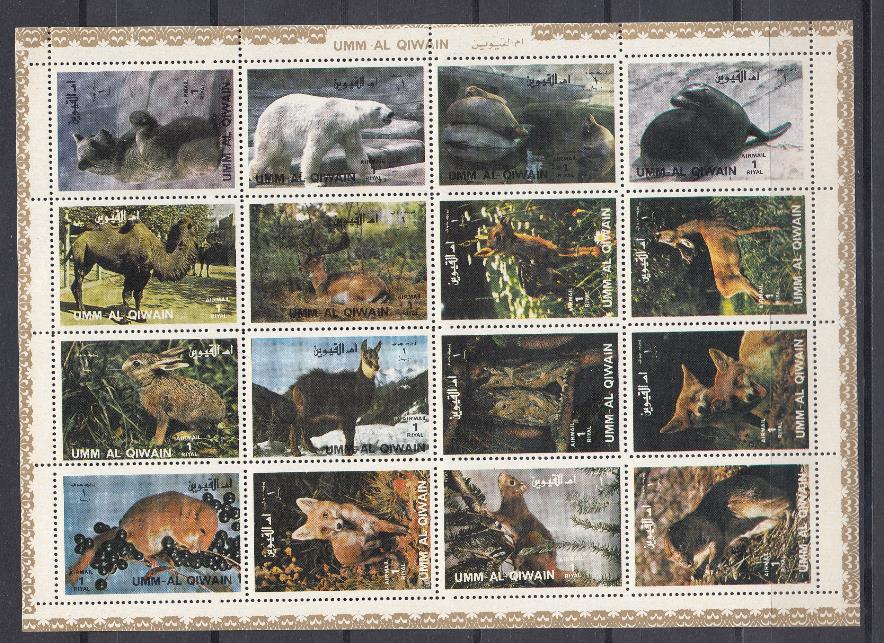 Фауна. Умм- эль - Кайвайн. Животный мир средней полосы Азии.