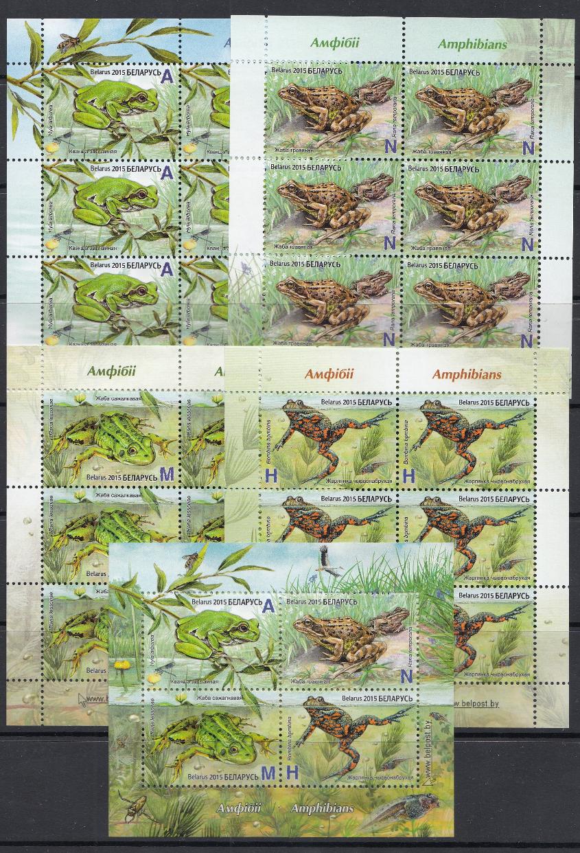 Фауна. Беларусь 2015 год. Лягушки.