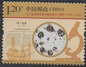 День науки. Китай 2015 год.