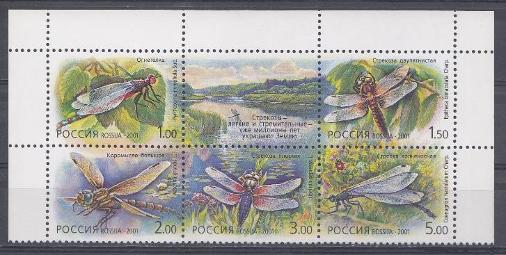 671- 675 Россия 2001 год. Фауна. Стрекозы.