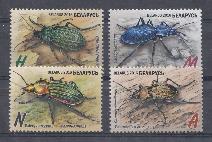 Насекомые. 2016 год. Беларусь.