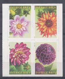 Флора. Швеция 2013 год. Цветы. Астры.