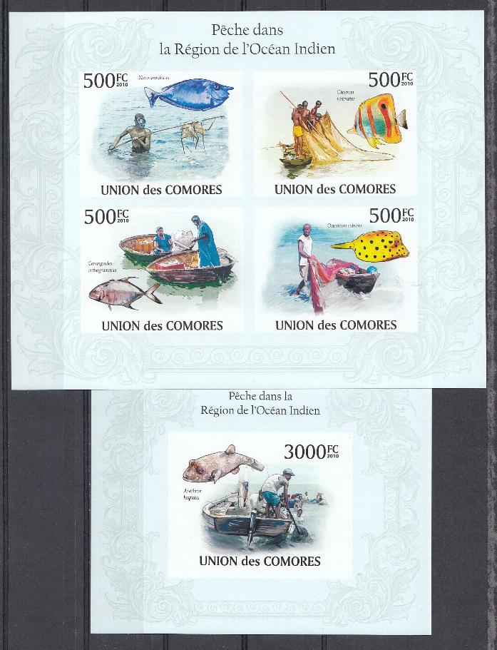 Рыболовство. Союз Коморских Остовов 2010 год.