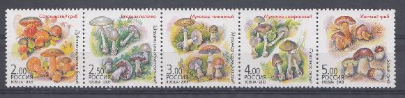 876-880. Россия 2003 год. Флора. Грибы-двойники.