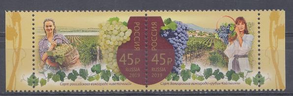 2494 -2495 Россия 2019 год. Совместный выпуск  РФ и Республики Болгарии. Виноделие. Сорта винограда.    