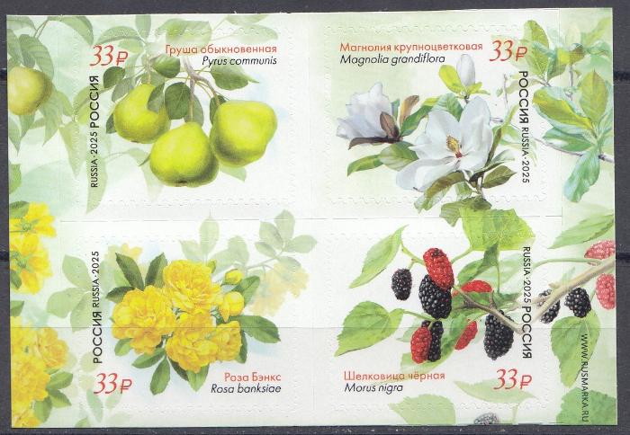 3490- 3493  Россия 2025 год. Флора России. Растения. Полуостров Крым.