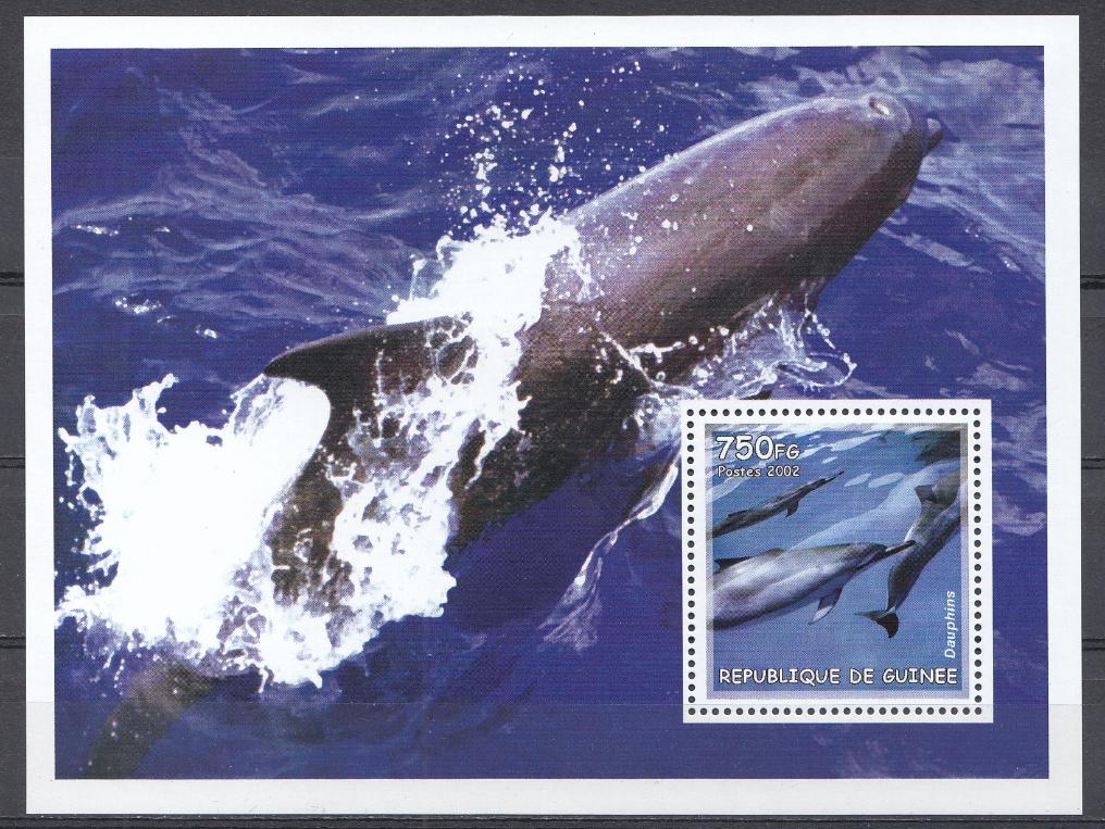 Морская фауна. Дельфины. Р Гвинея 2002 год. 