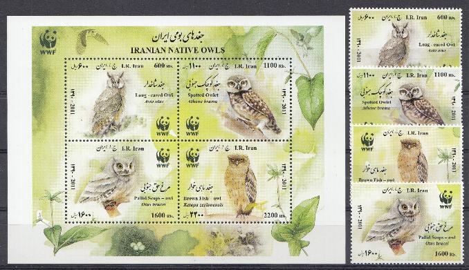 Совы. Иран 2011 год. WWF.