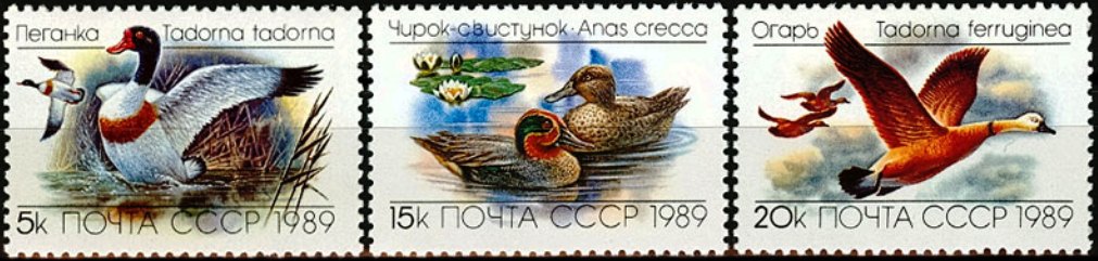 6017-6019. СССР 1989 год. Утки