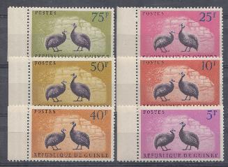 Фауна. Птицы. Республика Гвинея.