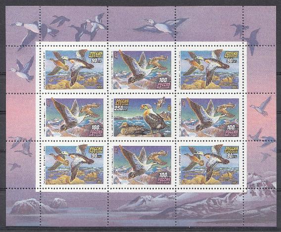 М/Л (101-103) Россия 1993 год. Утки.