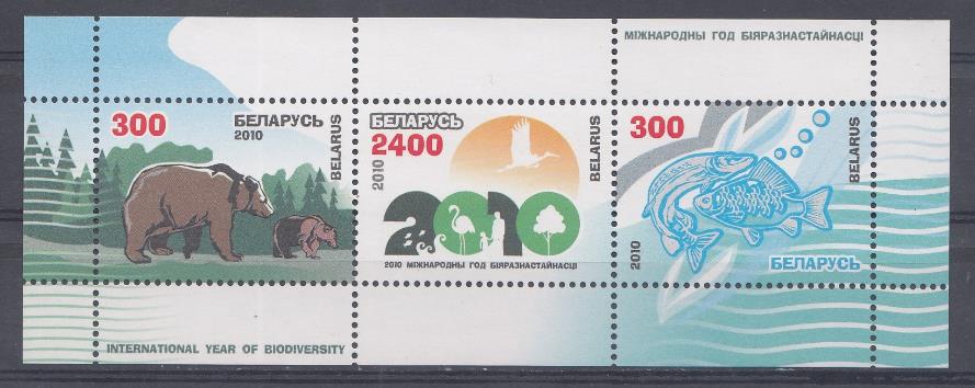 Фауна. Беларусь 2010 год. Медведи.