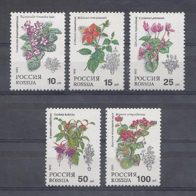  77-81. Флора. Россия 1993 год. Комнатные растения. 
