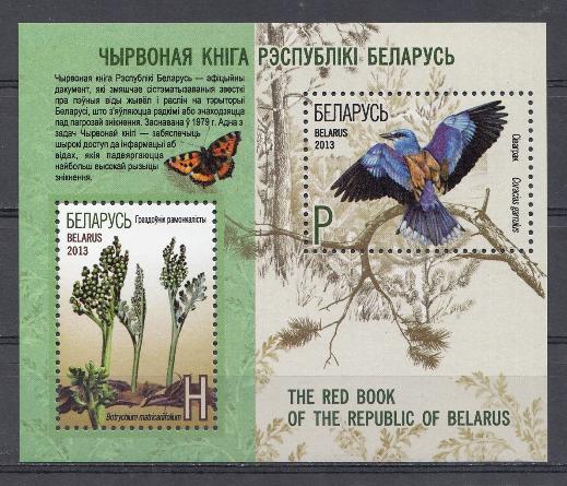 Птицы. Республика Беларусь 2013 год. Красная книга Республики Беларусь.