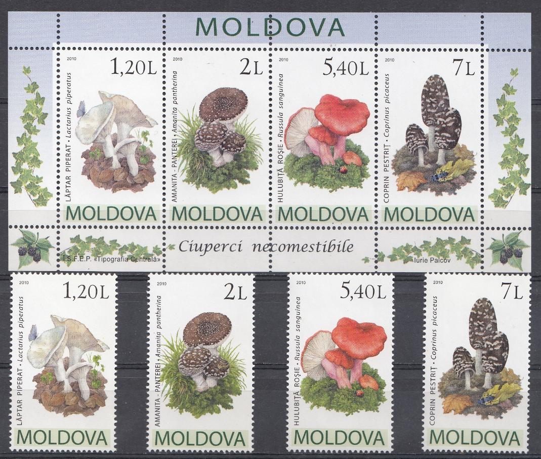 Флора. Грибы. Молдова 2010 год.