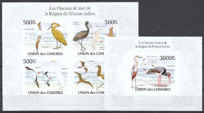 Птицы. Коморские Острова 2010 год. 