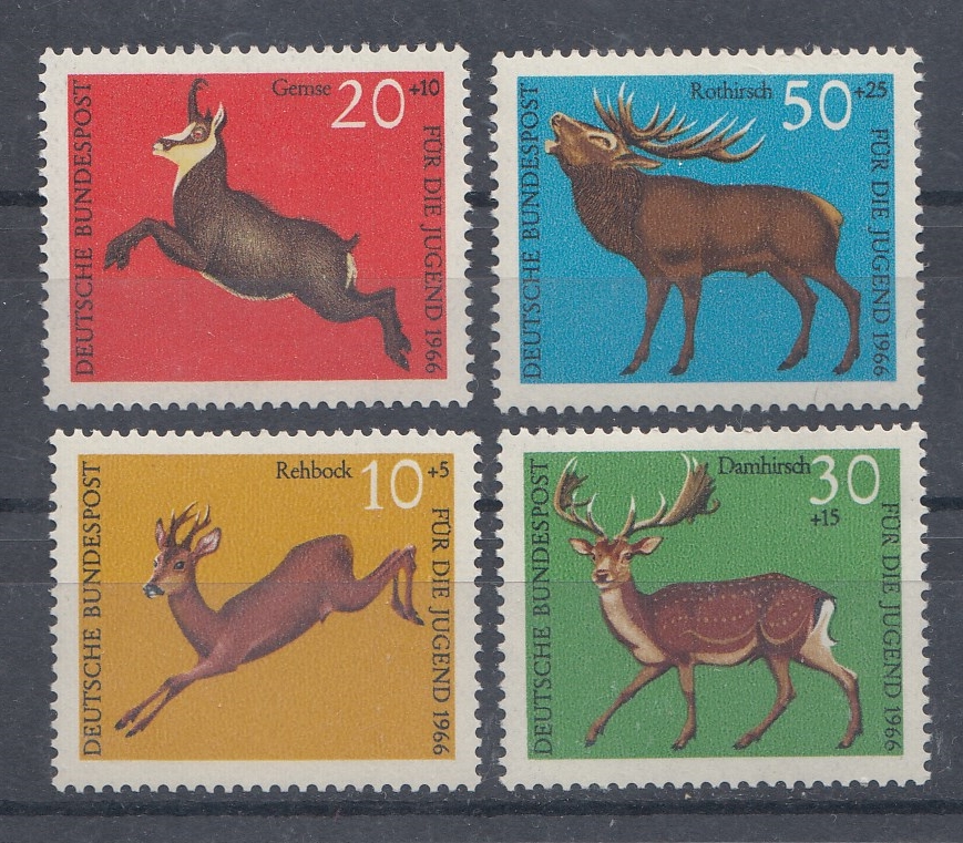 Фауна. ФРГ. Германия 1966 год. Лоси. 