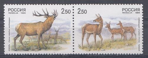 502- 503 Россия 1999 год. Фауна. Олени. Совместный выпуск  Р.Ф.  и КНР Китай. Изюбрь.
