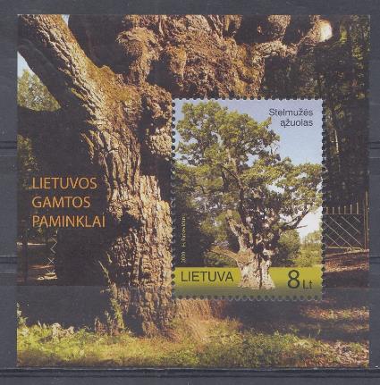 Природа. Литва 2010 год. 