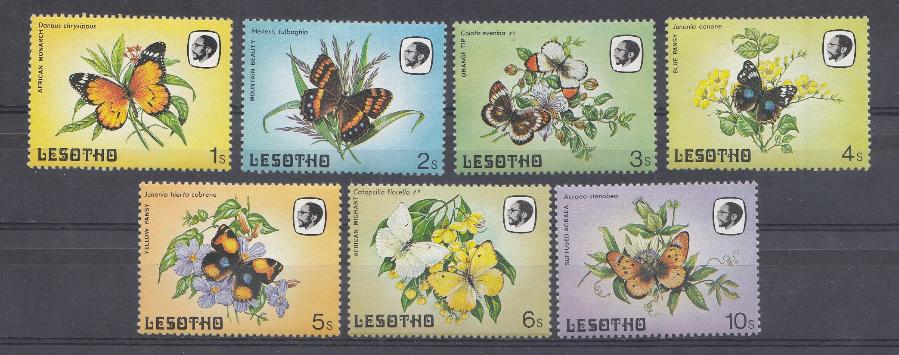 Бабочки и цветы. Лесото.