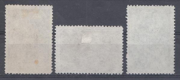 1302 - 1304 СССР 1949 год. День радио. Портрет А.С.Попова.