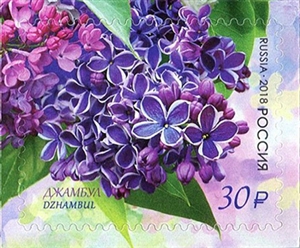 2328-2331  Россия 2018 год. Флора России. Сирень