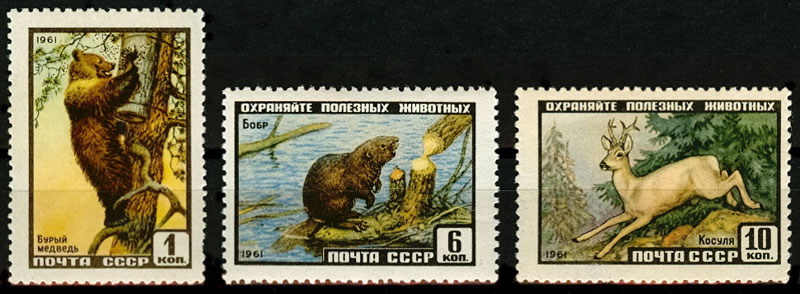 2445-2447. Фауна. СССР 1961 год. Медведь. Бобр. Косуля.