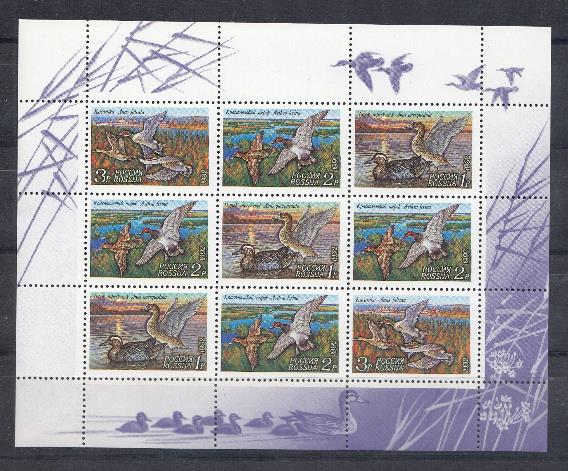  МЛ (35- 37). Россия 1992 год. Фауна . Утки.