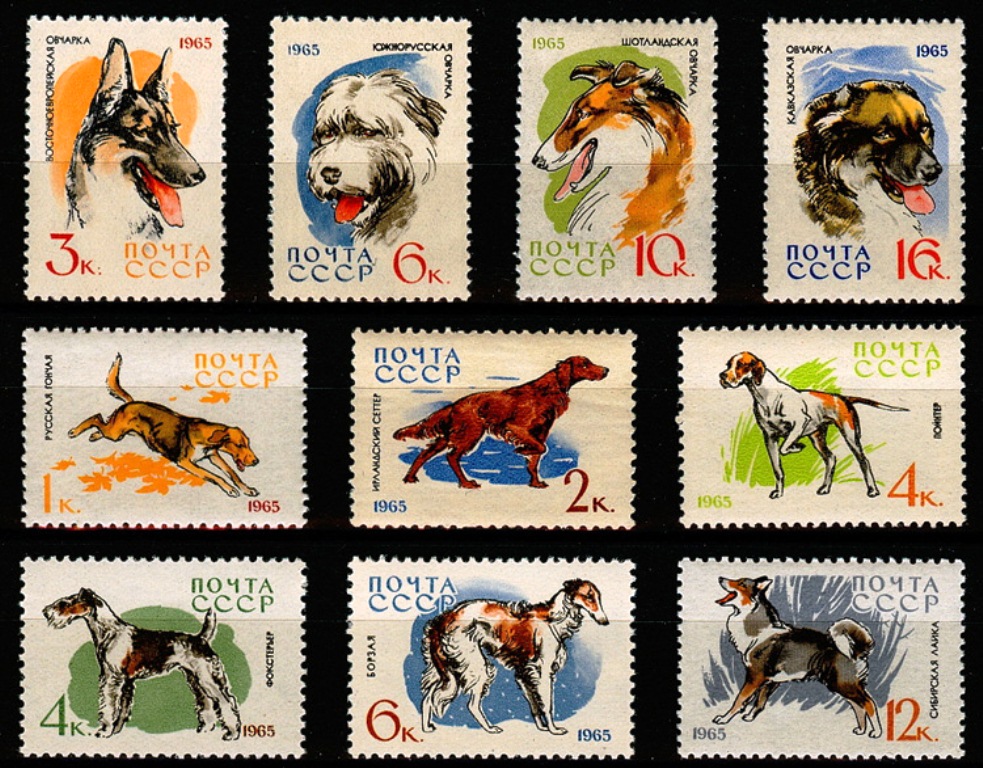 3073-3082. СССР 1965 год. Служебные и охотничьи собаки