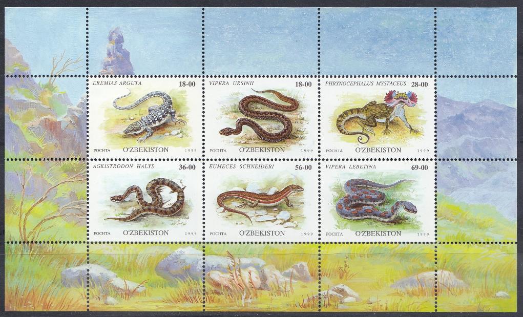 Рептилии. Змеи. Ящерицы. Узбекистан 1999 год.