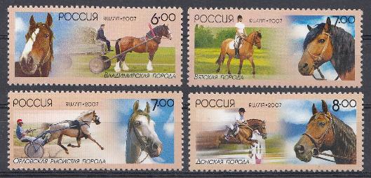 1209- 1212 Россия 2007 год. Отечественные породы лошадей.