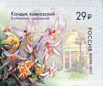 2208-2211. Флора России. К 125-летию Сочинского парка «Дендрарий»