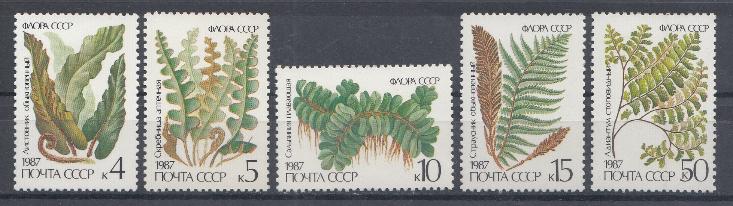 5781- 5785 СССР 1987 год. Флора СССР. Папоротники.