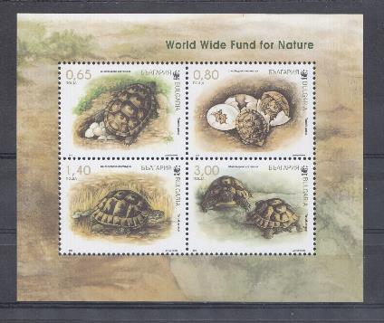 Черепахи. 2016 год. Болгария.