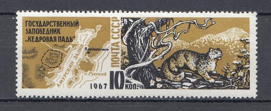 3452 СССР 1967 год. Заповедник "Кедровая падь". Барс.