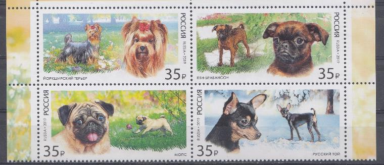2448- 2451 Россия 2019 год. Фауна. Декоративные породы собак.