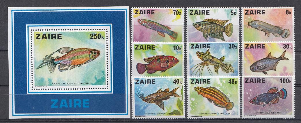 Рыбы. Заир.