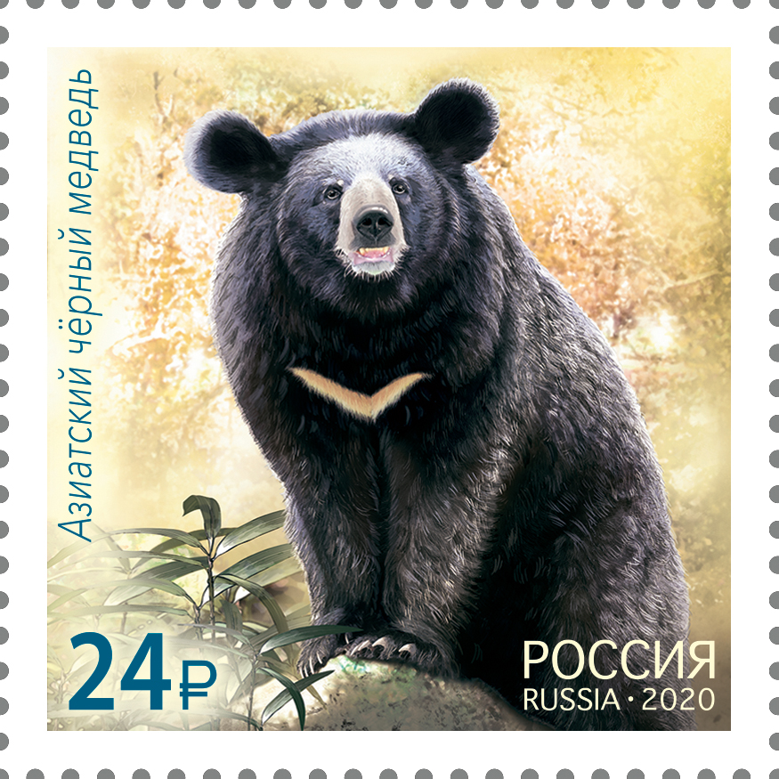 2717-2718. Россия 2020 год.  Совместный выпуск Российской Федерации и Республики Корея. Фауна