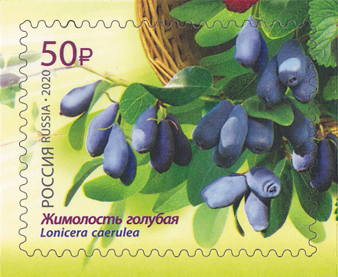 2585-2588. Россия  2020 год. Флора России. Ягоды 