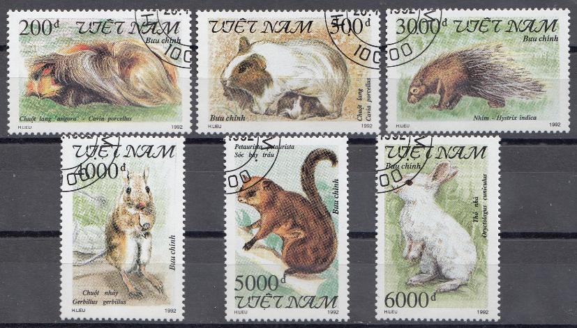Фауна. Вьетнам 1992 год. 