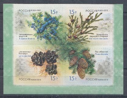 1682-1685. Россия 2013 год. Флора России. Шишки хвойных деревьев и кустарников.