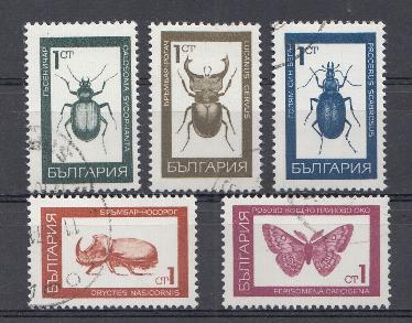 Жуки. Болгария 1968 год.