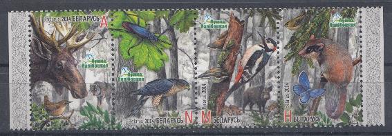 Фауна. Беларусь 2014 год. Животный мир леса.