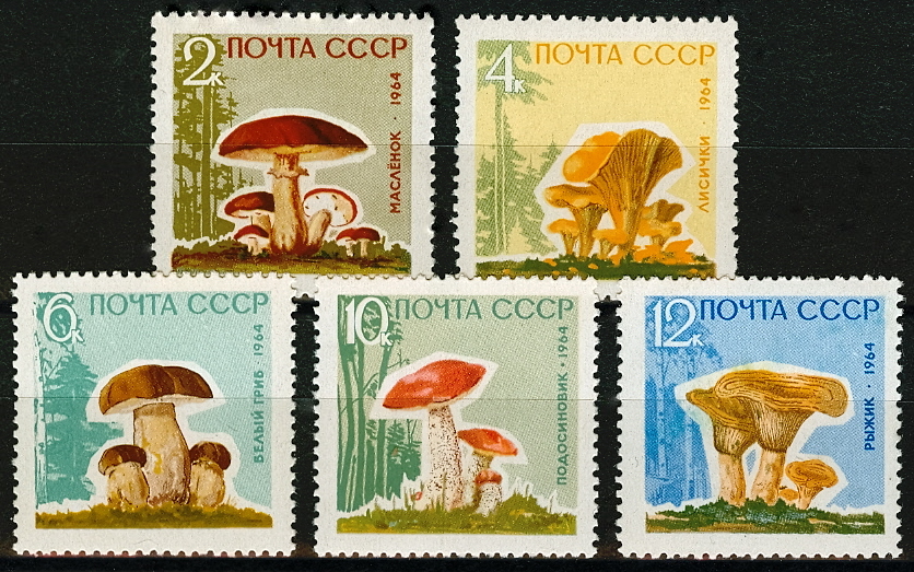 3036 А -3040 А. СССР 1964 год. Грибы. С лакированием
